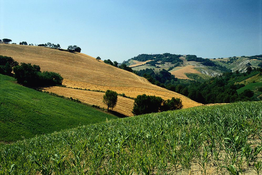 WALKING TOUR, NEL CUORE DELLA ROMAGNA